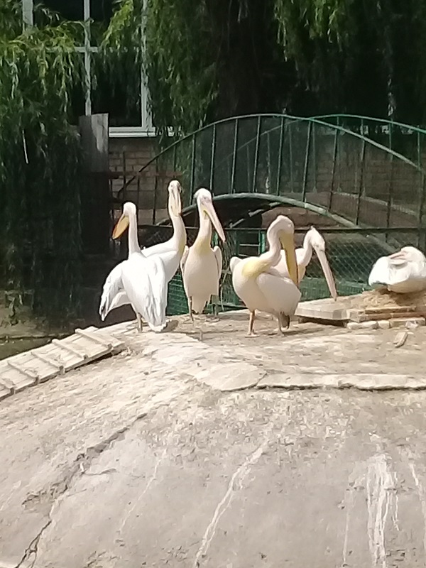 20180609 103453